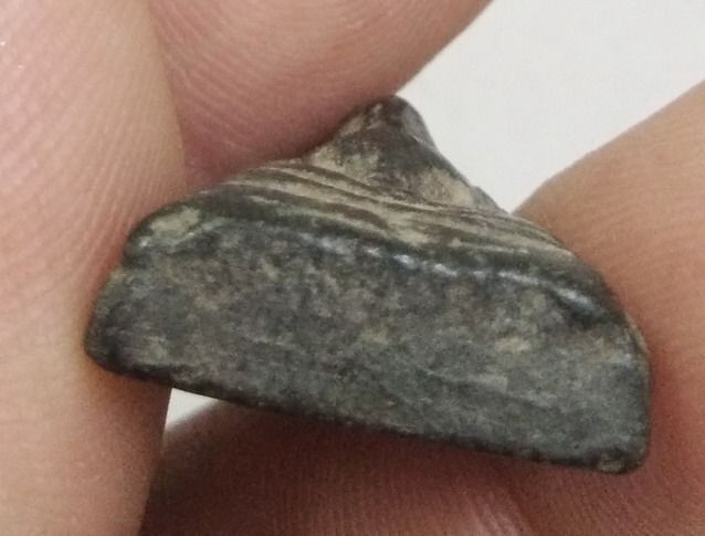 3101-พระนางพญาเนื้อดินสีดำเก่า รูปที่ 17