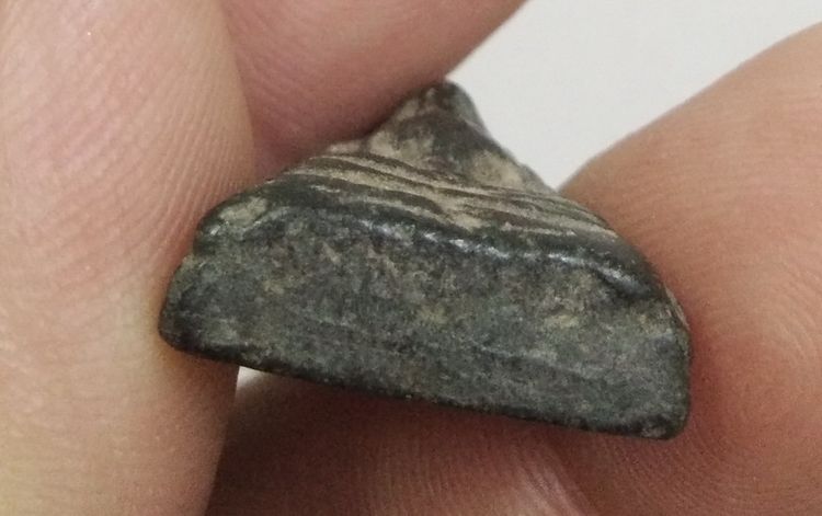 3101-พระนางพญาเนื้อดินสีดำเก่า รูปที่ 11