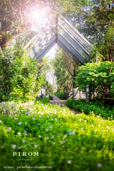 โครงการ Pirom At Vineyard เขาใหญ่ ภิรมย์ แอท วินยาร์ด  รูปที่ 3