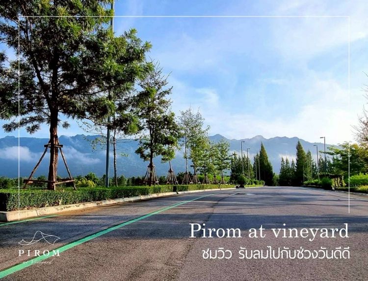 โครงการ Pirom At Vineyard เขาใหญ่ ภิรมย์ แอท วินยาร์ด  รูปที่ 2