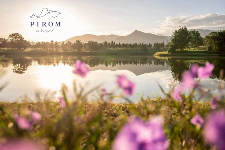 โครงการ Pirom At Vineyard เขาใหญ่ ภิรมย์ แอท วินยาร์ด 