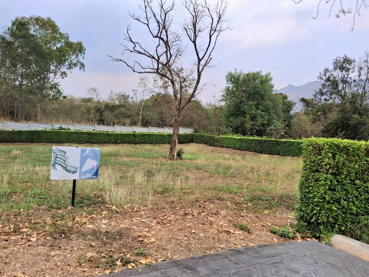 ขายที่ดินเปล่า Pirom At Vineyard เขาใหญ่ ภิรมย์ แอท วินยาร์ด รูปที่ 4