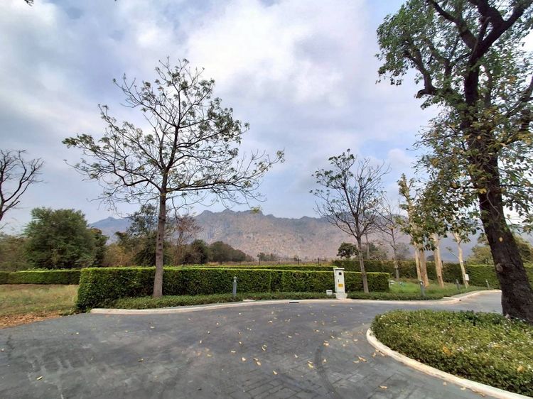 ขายที่ดินเปล่า Pirom At Vineyard เขาใหญ่ ภิรมย์ แอท วินยาร์ด รูปที่ 3