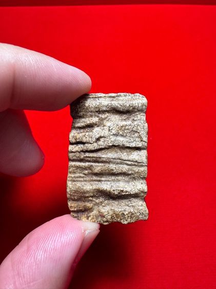 รายการที่ 3 โชคปารมีพระเครื่อง รูปที่ 2