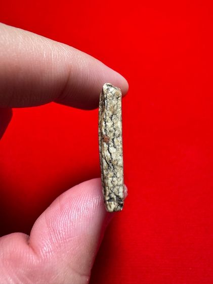 รายการที่ 5 โชคปารมีพระเครื่อง รูปที่ 5