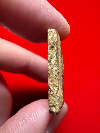 รายการที่  9 โชคปารมีพระเครื่อง รูปที่ 6