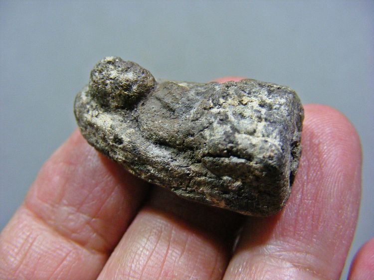 เก่า หลวงปู่ทวดเนื้อว่าน พิมพ์พระรอด  รูปที่ 8