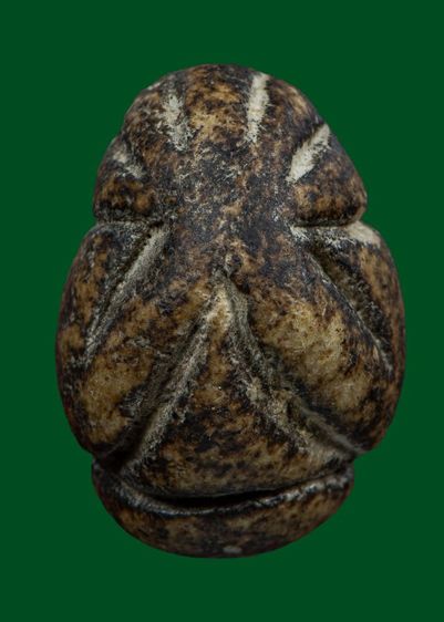 เปิดราคาครับ