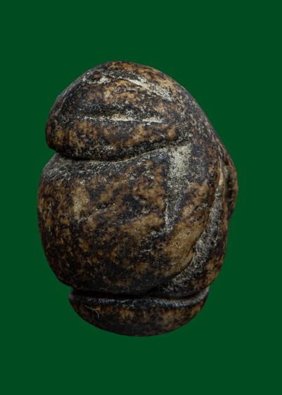 เปิดราคาครับ รูปที่ 3