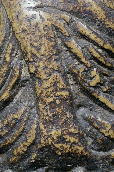 เนื้อเก่าแห้ง พระรูปหล่อหลวงพ่อเงิน วัดบางคลาน พิมพ์ขี้ตา 4 ชาย เก่า รูปที่ 15