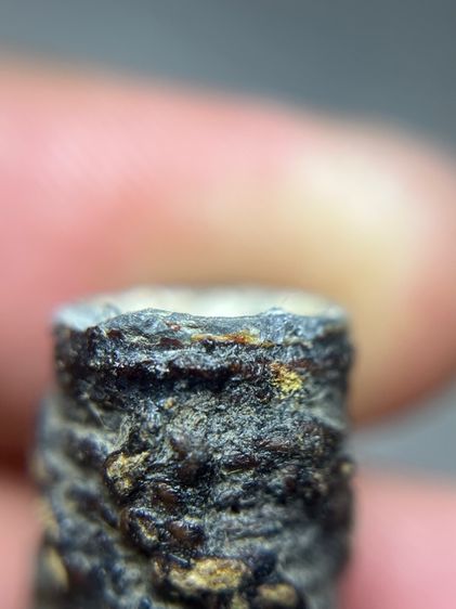 ตะกรุดจระเข้ขบฟันยาว 4.5 นิ้วไม่ทราบที่(มีสินค้าหลายรายการกดเข้ามาดูในโปรไฟล์ได้เลยครับ) รูปที่ 8