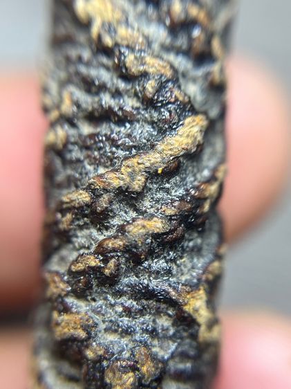 ตะกรุดจระเข้ขบฟันยาว 4.5 นิ้วไม่ทราบที่(มีสินค้าหลายรายการกดเข้ามาดูในโปรไฟล์ได้เลยครับ) รูปที่ 3