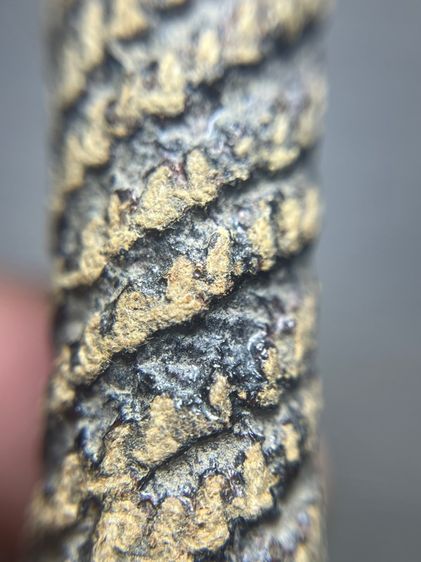 ตะกรุด4นิ้วไม่ทราบที่(มีสินค้าหลายรายการกดเข้ามาดูในโปรไฟล์ได้เลยครับ) รูปที่ 9