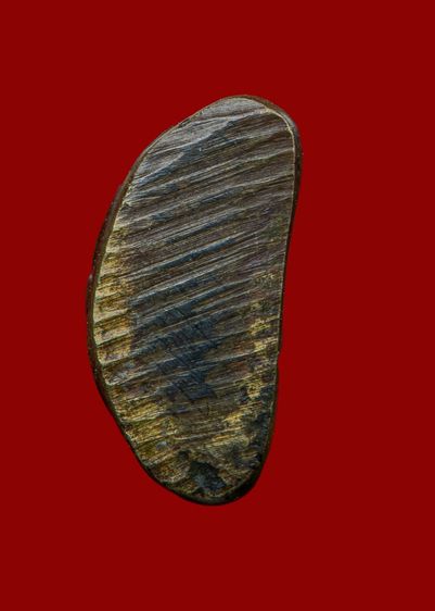 พระเก่าองค์ละ350บาท รูปที่ 5