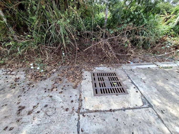 ขายถูกที่ดิน 500 ตรว ติดถนนคอนกรีตสาธารณะ ซ.คลองสาม 13 5-2  คลองหลวง ปทุมธานี  รูปที่ 4