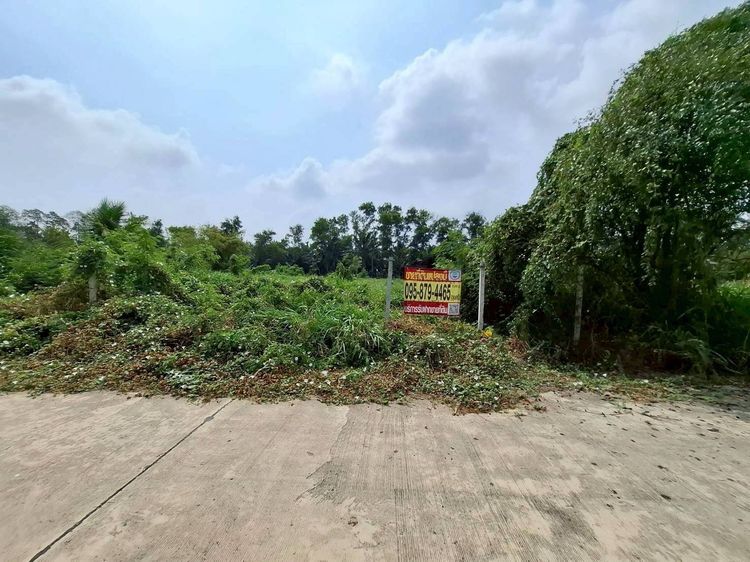 ขายถูกที่ดิน 500 ตรว ติดถนนคอนกรีตสาธารณะ ซ.คลองสาม 13 5-2 คลองหลวง ปทุมธานี รูปที่ 2