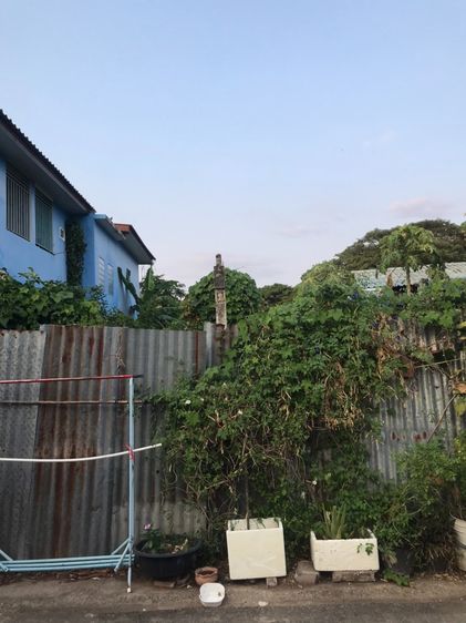 ที่ดินกลางเมือง 59.3 ตร.วา  เพชรบูรณ์ พร้อมสร้างทันที รูปที่ 4