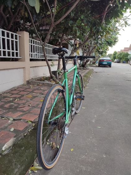จักรยาน Tokyo bike สีเขียว Size 47 รูปที่ 4