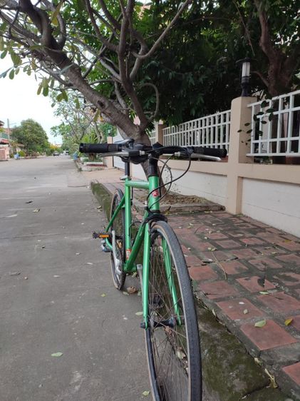 จักรยาน Tokyo bike สีเขียว Size 47