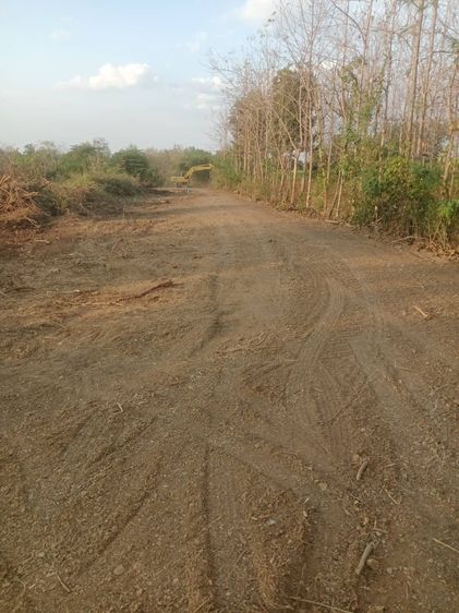 วังชมภูแลนด์ F Zone ผ่อนเริ่มต้นเพียงเดือนละ 1 พันกว่าบาท  รูปที่ 4