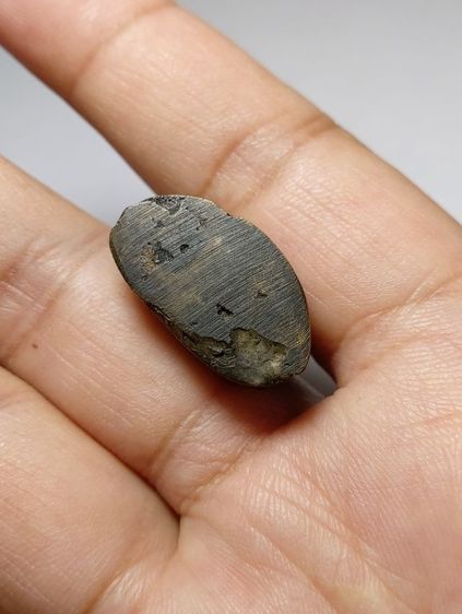 รูปหล่อพระพุทธชินราชอินโดจีน รูปที่ 11