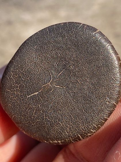 พระเชียงรุ้ง รูปที่ 14