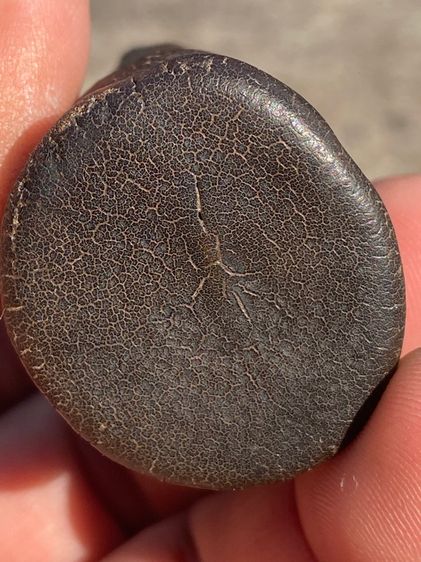 พระเชียงรุ้ง รูปที่ 12