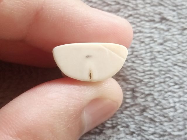 พระสังกัจจายน์แกะ รูปที่ 13