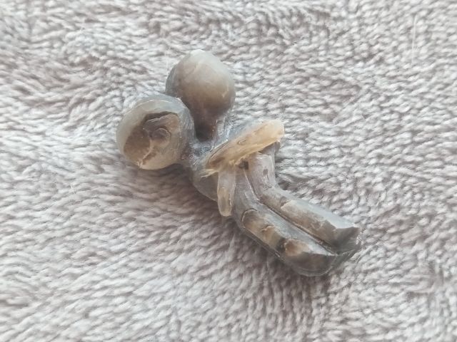 อิ่น (เขาแกะ)  รูปที่ 5