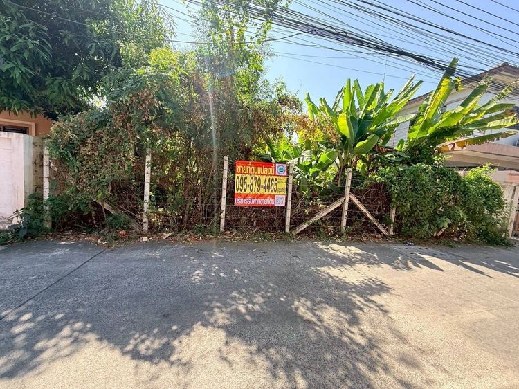 ขายถูกที่ดิน 100 ตรว ซอยพหลโยธิน 54 1 แยก 6 10 สายไหม กทม.ถมแล้ว ล้อมลวดหนาม รูปที่ 3