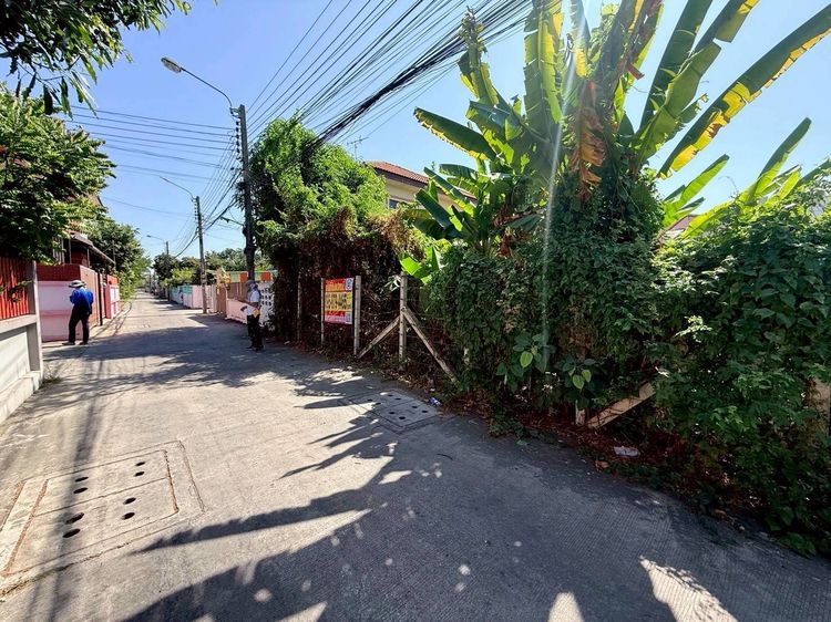 ขายถูกที่ดิน 100 ตรว  ซอยพหลโยธิน 54 1 แยก 6 10 สายไหม กทม.ถมแล้ว ล้อมลวดหนาม