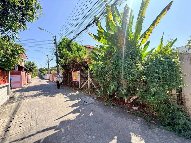 ขายถูกที่ดิน 100 ตรว ซอยพหลโยธิน 54 1 แยก 6 10 สายไหม กทม.ถมแล้ว ล้อมลวดหนาม รูปที่ 2