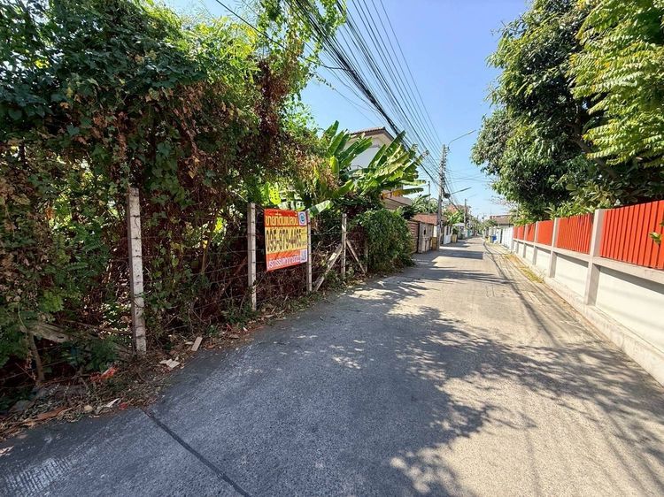 ขายถูกที่ดิน 100 ตรว  ซอยพหลโยธิน 54 1 แยก 6 10 สายไหม กทม.ถมแล้ว ล้อมลวดหนาม รูปที่ 4