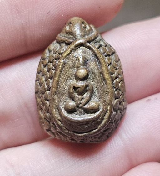 เต่าหลวงพ่อ อิ่ม วัดหัวเขา สุพรรณ