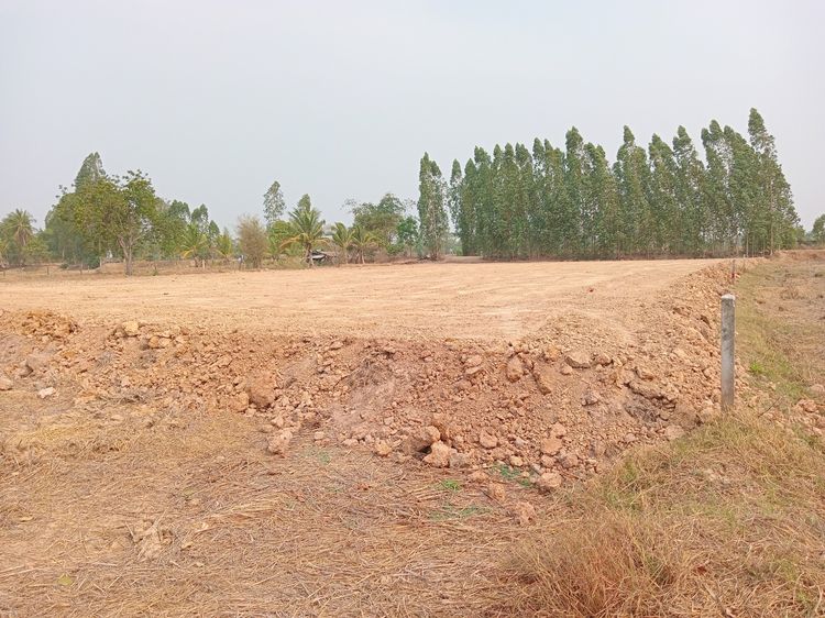 ขายที่ดินใกล้ มมส รูปที่ 2