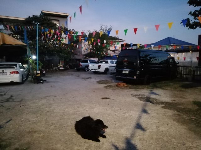 สุนัข ..ฟรี รูปที่ 5