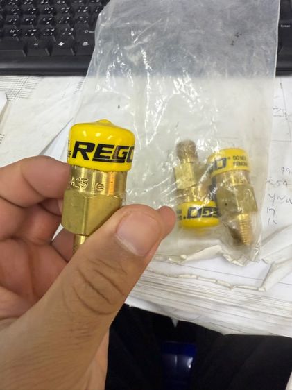 relief valve REGO รูปที่ 3