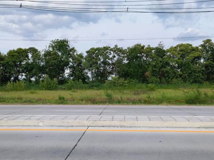 ที่ดินดอนตูม นครปฐม ถมแล้ว 2-1-10ไร่ ติดถนน 4 เลน ทางหลวง 375 อ.ดอนตูม รูปที่ 4