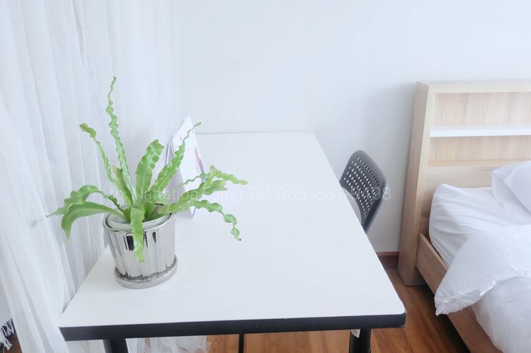 อื่นๆ ไม่อนุญาต ตกแต่งครบ ให้เช่ารีเจ้นท์โฮม18 regent home 18  รูปที่ 3