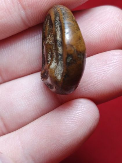 ซุ้มกอพิมพ์ขนมเปี๊ยะ รูปที่ 3