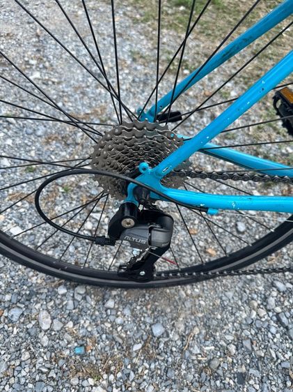 จักรยาน tokyo bike ไซส์53 รูปที่ 3