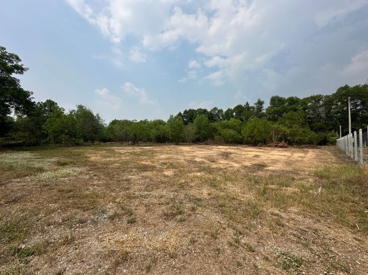 ใช่   ขายที่ดินเปล่า ขนาด 2 ไร่ ใกล้โรงเรียนเตรียมทหาร ตำบลศรีกะอาง อำเภอบ้านนา จังหวัดนครนายก รูปที่ 3