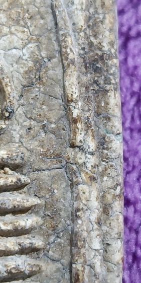 พระเก่าๆ ที่บ้านคะ รูปที่ 9