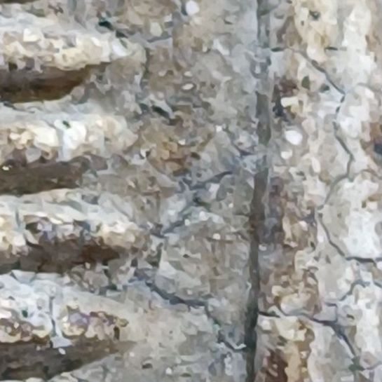 พระเก่าๆ ที่บ้านคะ รูปที่ 11