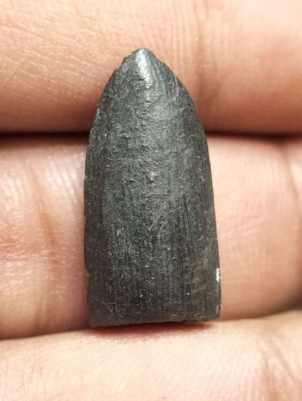 พระรอดครูบาอินโต วัดบุญยืนจ.พะเยา ปี2512 รูปที่ 2