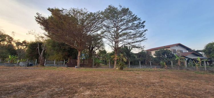 ขายที่ดินติดถนน 4 เลน อ.สำโรง จ.อุบลราชธานี  รูปที่ 4