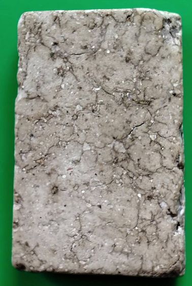 พระสมเด็จวัดระฆัง บางขุนพรหม เกศไชโย หลวงปู่ภู หลวงปู่นาค รูปที่ 14