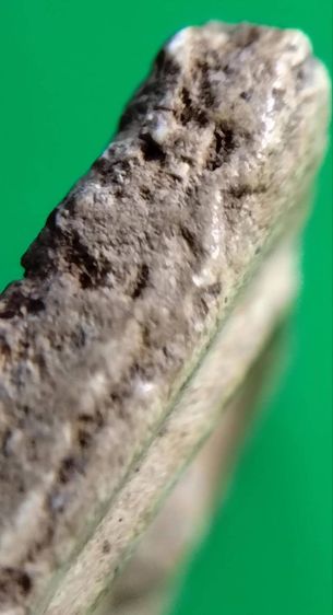 พระสมเด็จวัดระฆัง บางขุนพรหม เกศไชโย หลวงปู่ภู หลวงปู่นาค รูปที่ 15