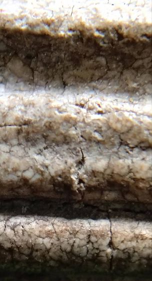 พระสมเด็จวัดระฆัง บางขุนพรหม เกศไชโย หลวงปู่ภู หลวงปู่นาค รูปที่ 6