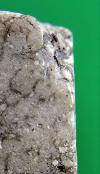 พระสมเด็จวัดระฆัง บางขุนพรหม เกศไชโย หลวงปู่ภู หลวงปู่นาค รูปที่ 11